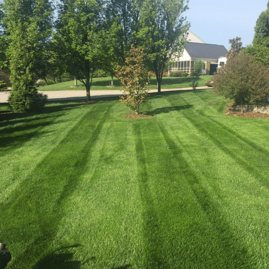 Lawn Maintenance Company lawn maintenance service