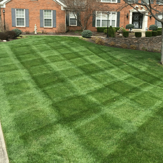 Lawn Treatment Service Lawn Treatment Service
