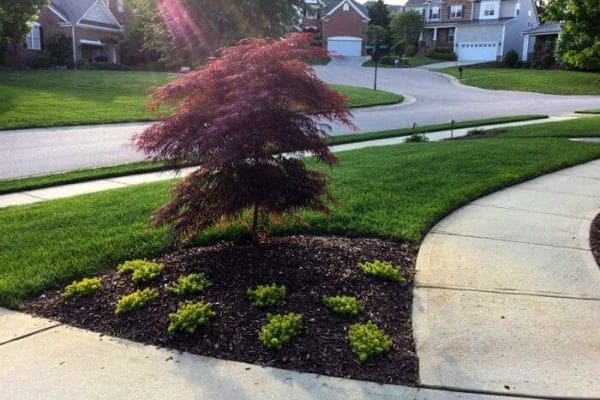  Clean green grass in a neighborhood with no standing water.