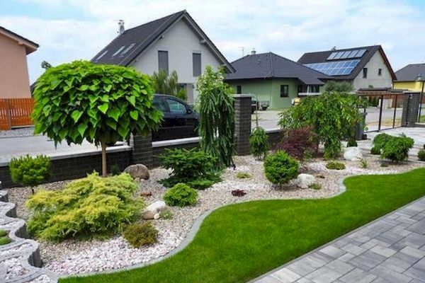 Tree and bushes trimmed in a rock mulch bed.