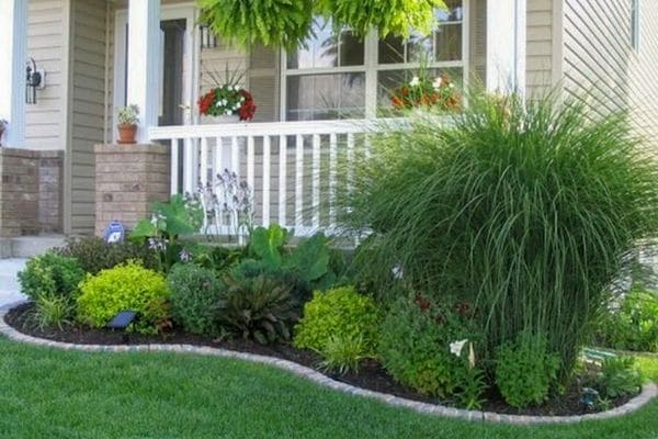 Curved Landscape bed with fresh black mulch.