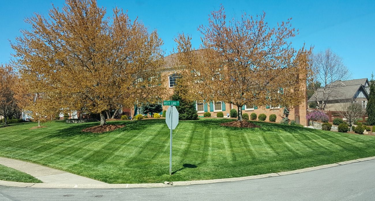 Diamond cut grass lines in front of corner house