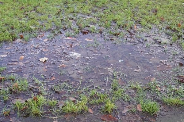 Standing Water Lawn Solutions